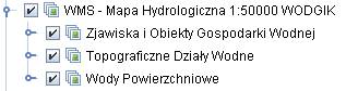 WMS - Mapa Hydrologiczna 1:5000. WODGiK